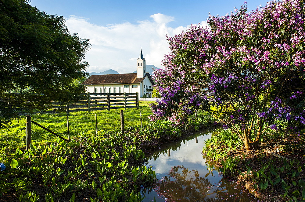 Little church behind a blooming bush near Pomerode, Brazil, South America