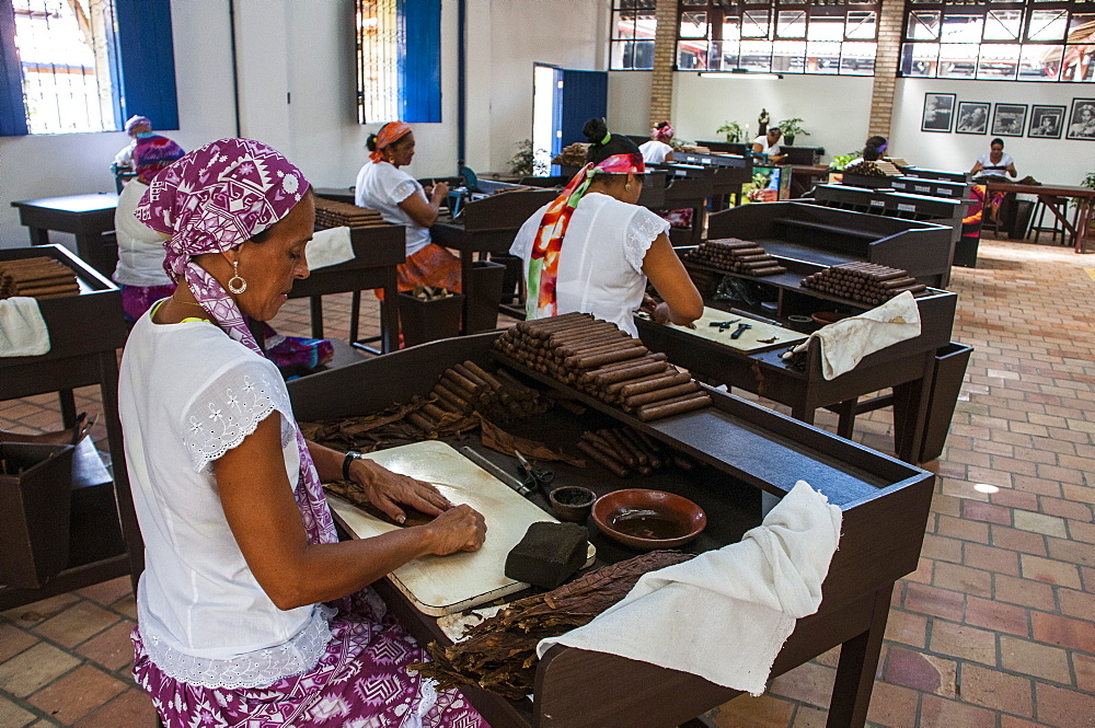 Women rolling cigars in the Dannemann cigar company in Cachoeira, Bahia, Brazil, South America