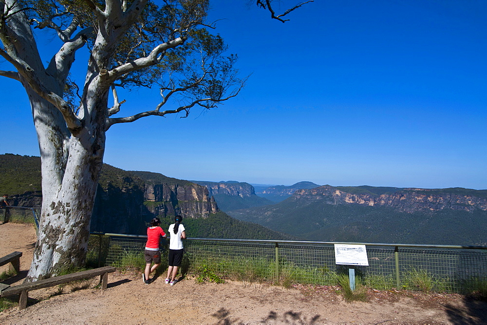 Viewing platform on top of the Blue Mountains, New South Wales, Australia, Pacific