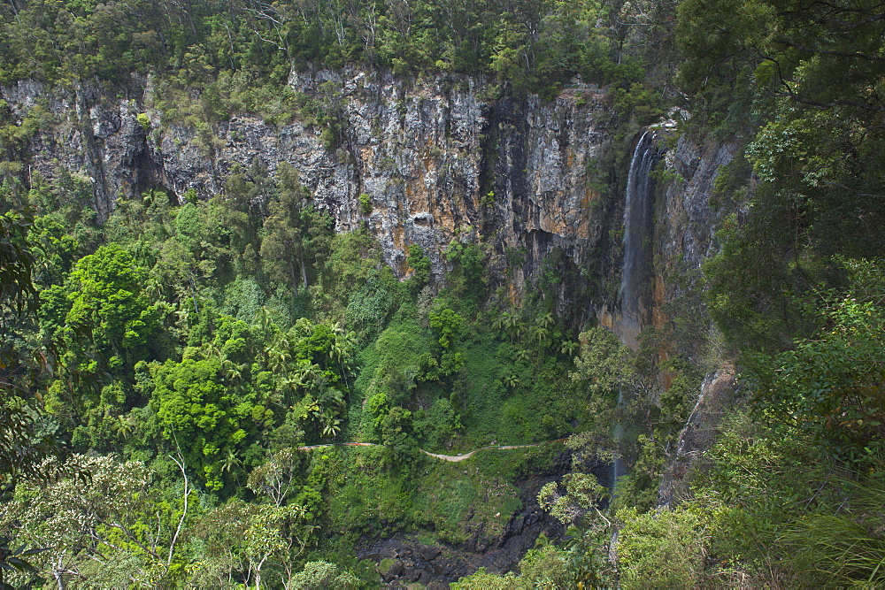 Waterfall in the Springbrook National Park, New South Wales, Australia, Pacific