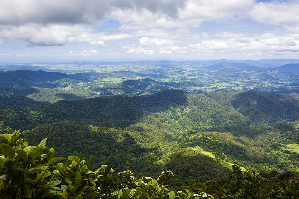 View in the Springbrook National Park, New South Wales, Australia, Pacific