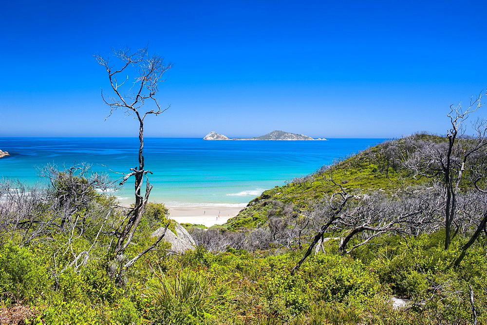 View over Wilsons Promontory National Park, Victoria, Australia, Pacific