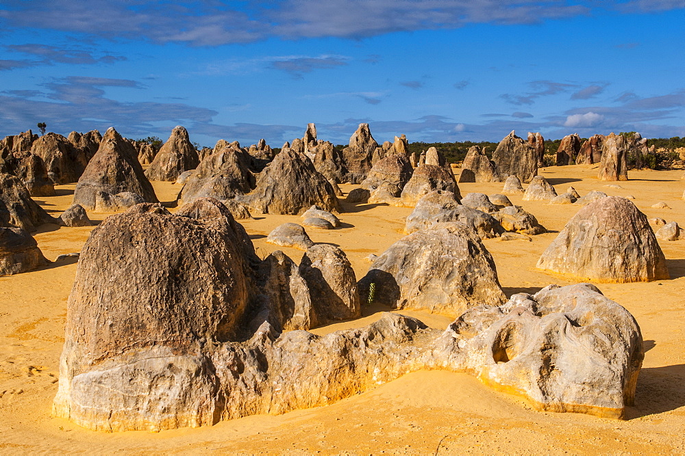 The Pinnacles limestone formations at sunset in Nambung National Park, Western Australia, Australia, Pacific 