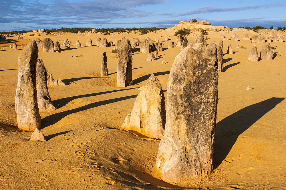 The Pinnacles limestone formations at sunset in Nambung National Park, Western Australia, Australia, Pacific 