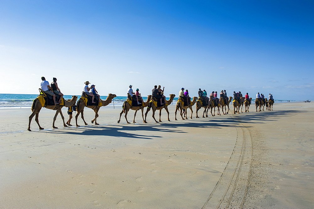 Tourists riding on camels on Cable Beach, Broome, Western Australia, Australia, Pacific 