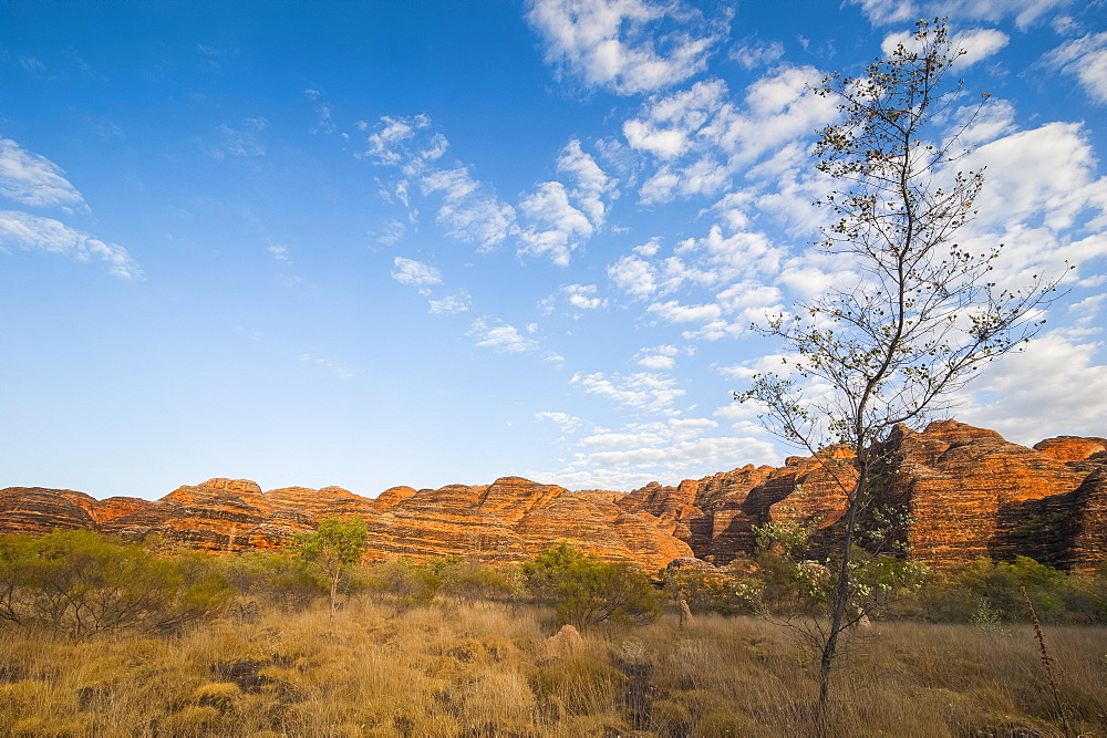 The beehive-like mounds, Purnululu National Park, UNESCO World Heritage Site, Bungle Bungle Mountain Range, Western Australia, Australia, Pacific