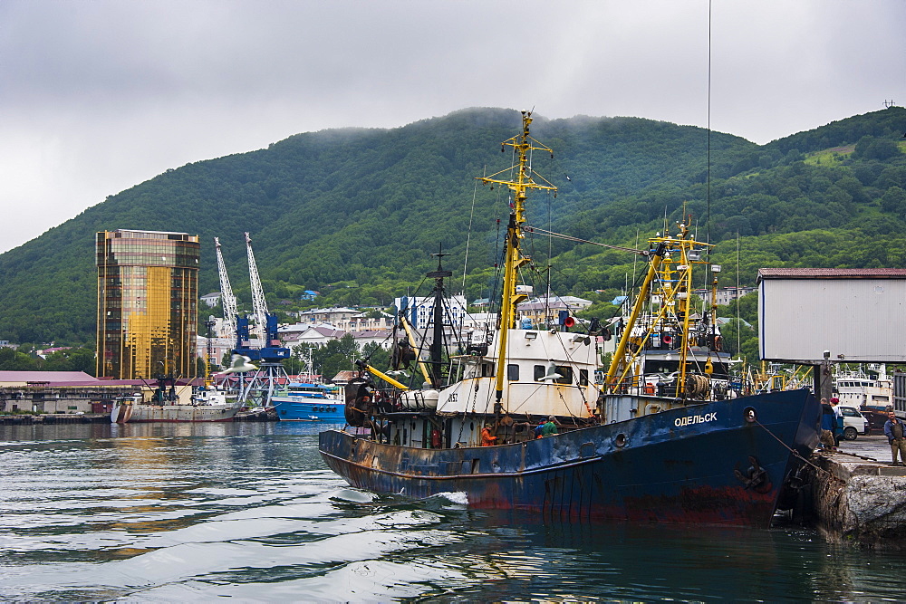 Fishing trawlers in the habour of Petropavlovsk-Kamchatsky, Kamchatka, Russia, Eurasia