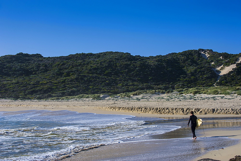 Lonely surfer on a beach near Margaret River, Western Australia, Australia, Pacific 