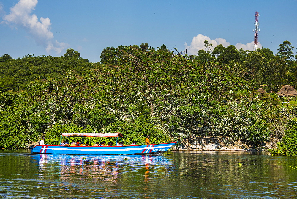 Boat with tourists shipping around the source of the Nile, Jinja, Uganda, East Africa, Africa