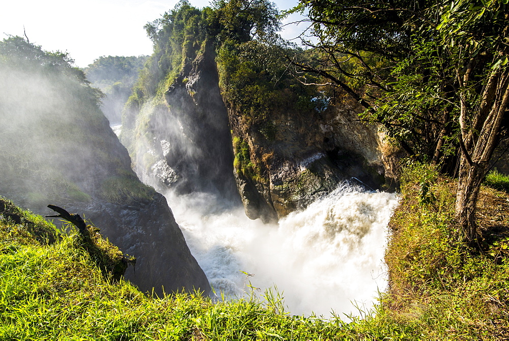 Murchison Falls (Kabarega Falls) on the Nile, Murchison Falls National Park, Uganda, East Africa, Africa