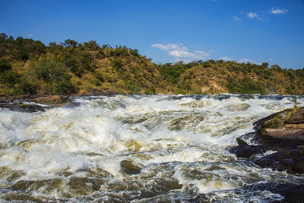 Murchison Falls (Kabarega Falls) on the Nile, Murchison Falls National Park, Uganda, East Africa, Africa