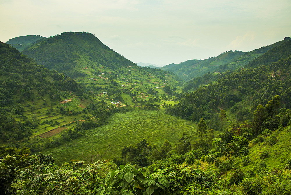 Mountainous scenery in southern Uganda, East Africa, Africa