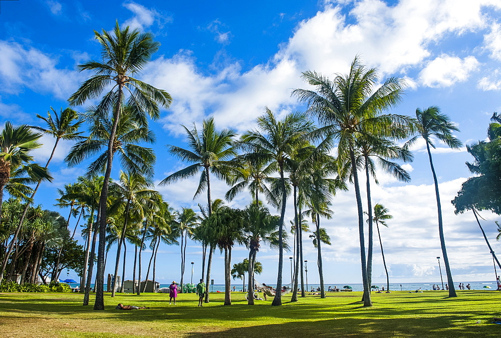 Waikiki Beach, Oahau, Hawaii, United States of America, Pacific 