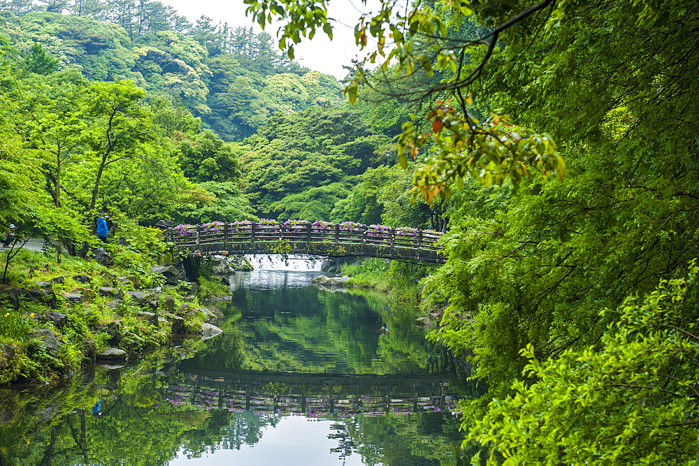 Stone bridge with flowers in Seogwipo, island of Jejudo, UNESCO World Heritage Site, South Korea, Asia