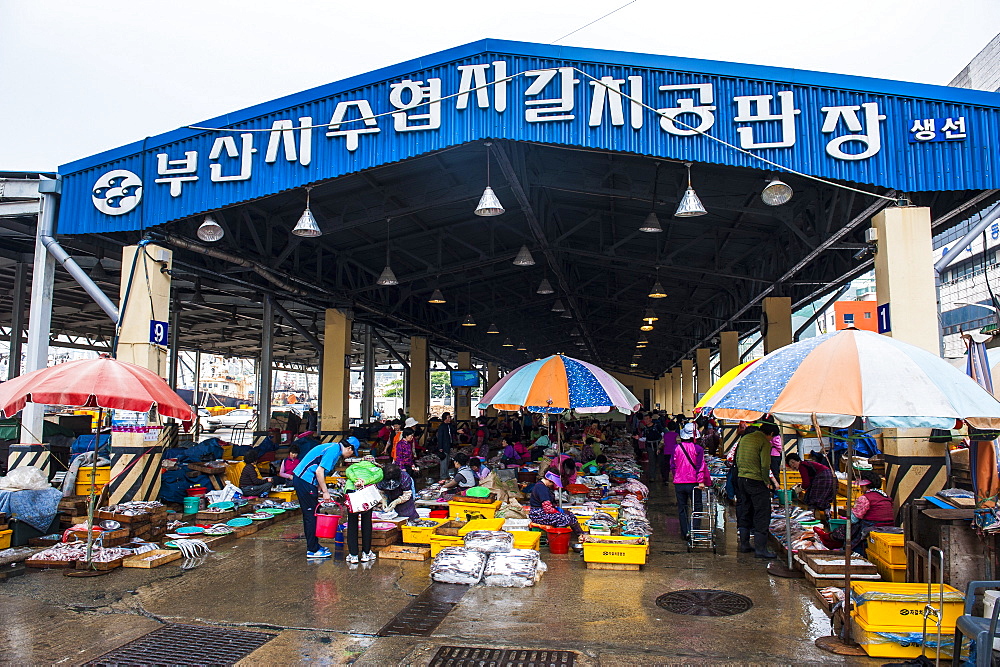 Market, Busan, South Korea, Asia