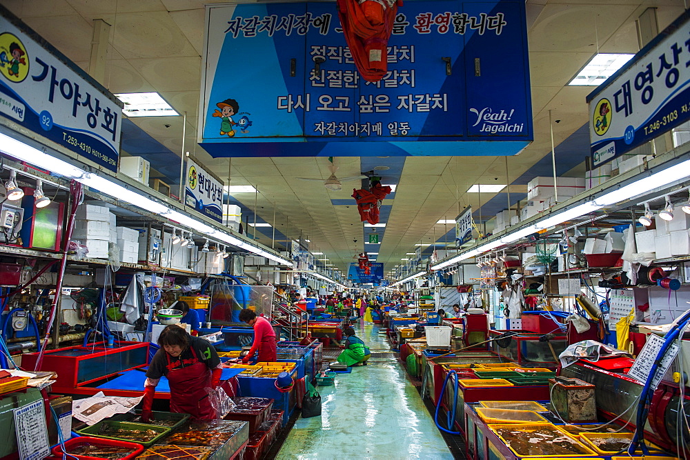 Fish for sale at the modern fish market in Busan, South Korea, Asia