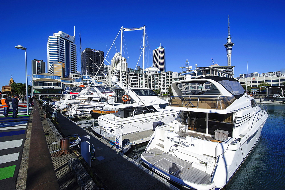 Harbour of Auckland, North Island, New Zealand, Pacific