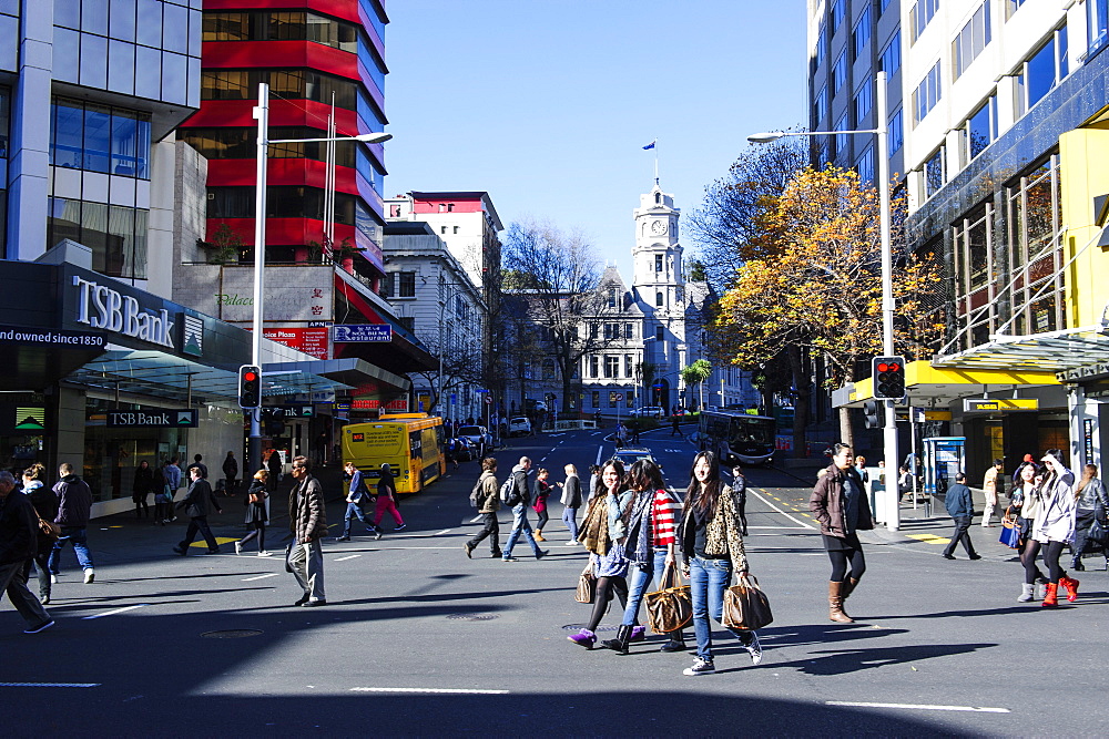 Downtown Auckland with high rise buildings, Auckland, North Island, New Zealand, Pacific