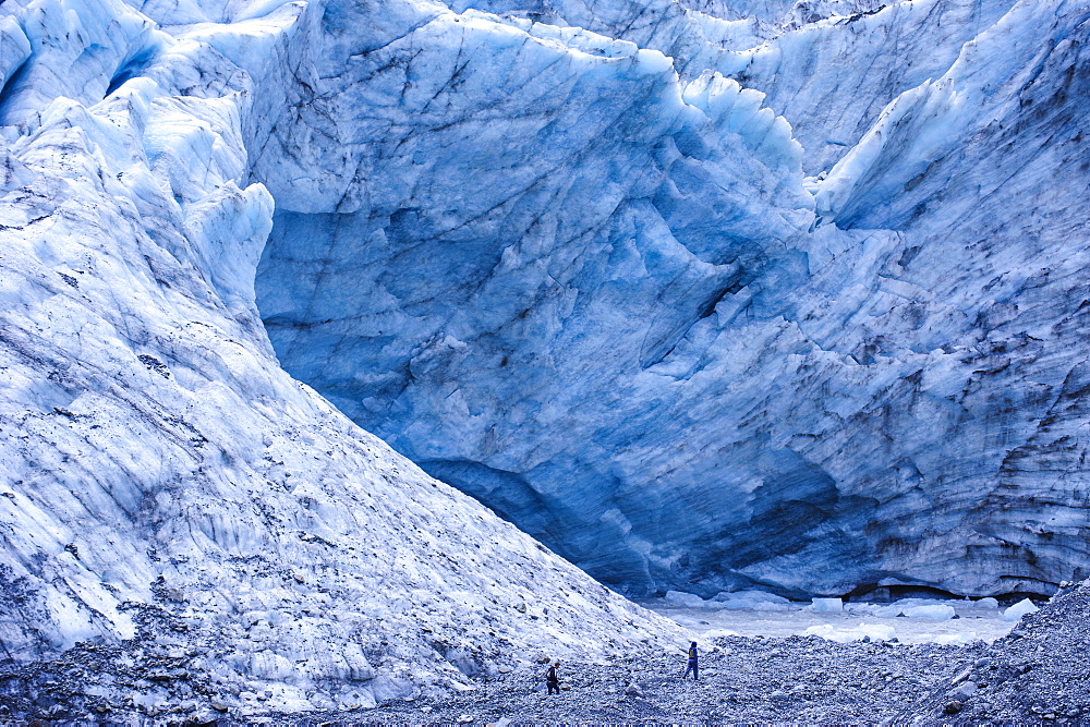 Tourist hiking to the giant glacial outflow of Fox Glacier, Westland Tai Poutini National Park, South Island, New Zealand, Pacific