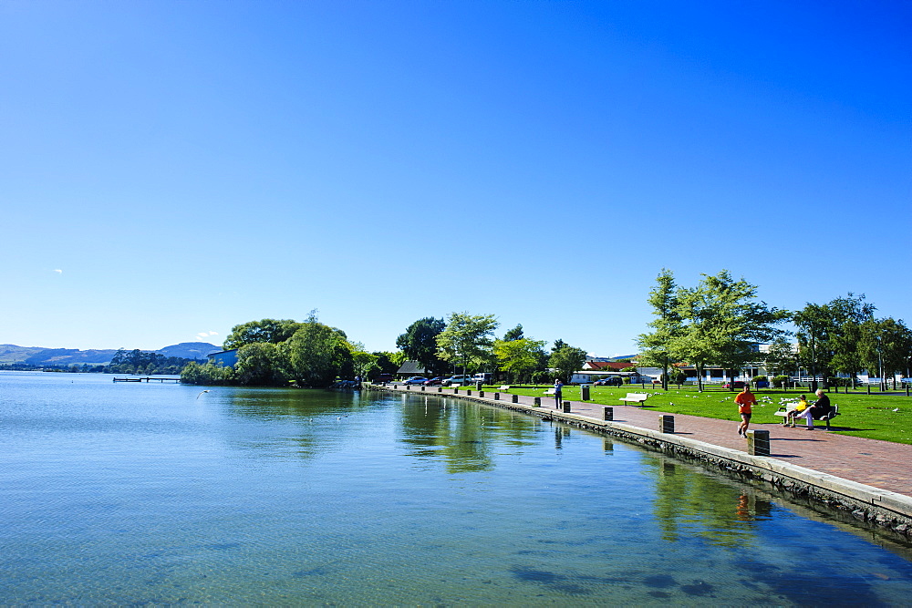 The shores of Lake Rotorua, Rotorua, North Island, New Zealand, Pacific