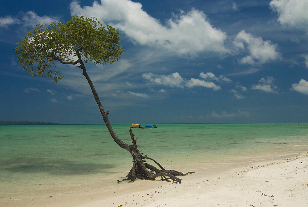 Silver sand beach with turquoise sea, Havelock Island, Andaman Islands, India, Indian Ocean, Asia