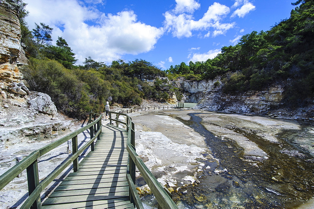 Geothermal volcanic area in the Wai-O-Tapu Thermal Wonderland, Waiotapu, North Island, New Zealand, Pacific