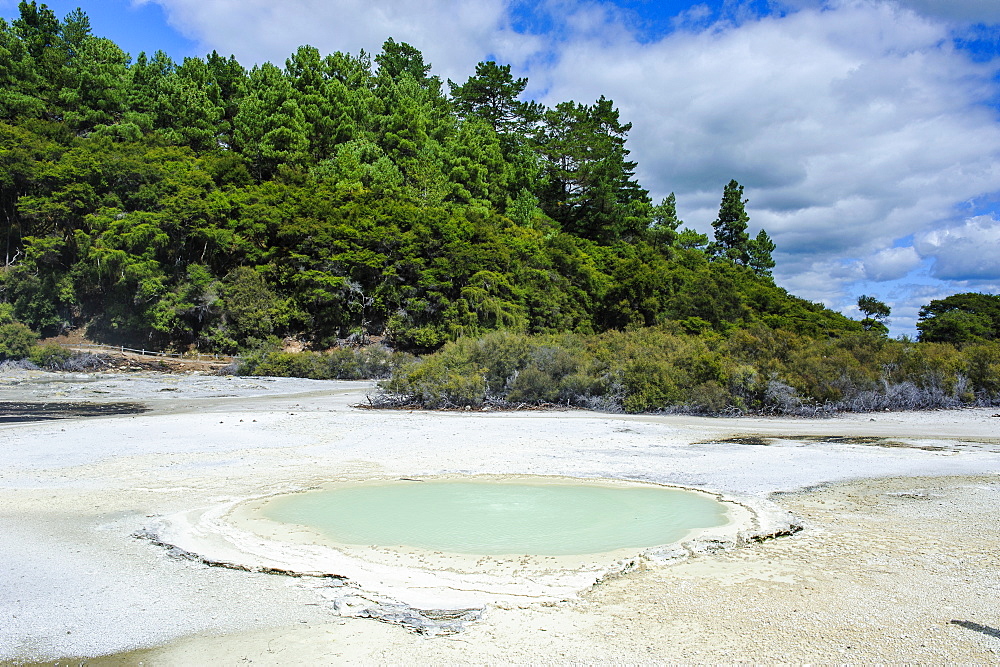 Geoactive thermal pool, Wai-O-Tapu Thermal Wonderland, Waiotapu, North Island, New Zealand, Pacific