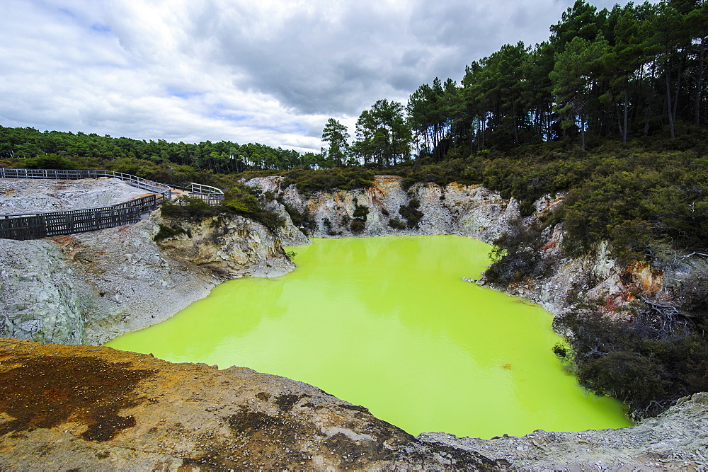 Very green acid crater in the Wai-O-Tapu Thermal Wonderland, Waiotapu, North Island, New Zealand, Pacific