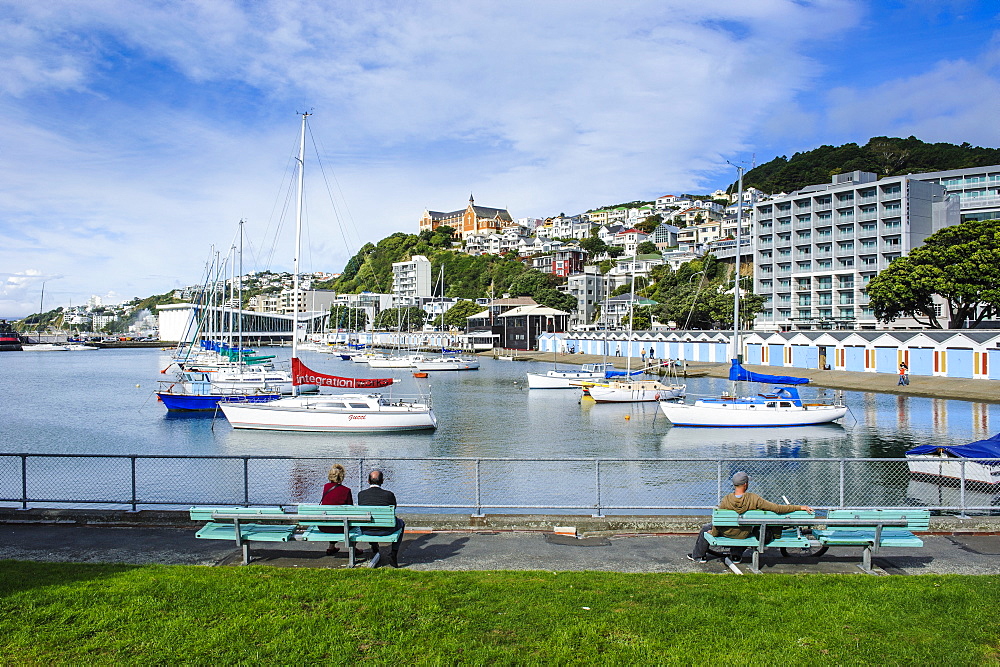 Little boats in the harbour of Wellington, North Island, New Zealand, Pacific