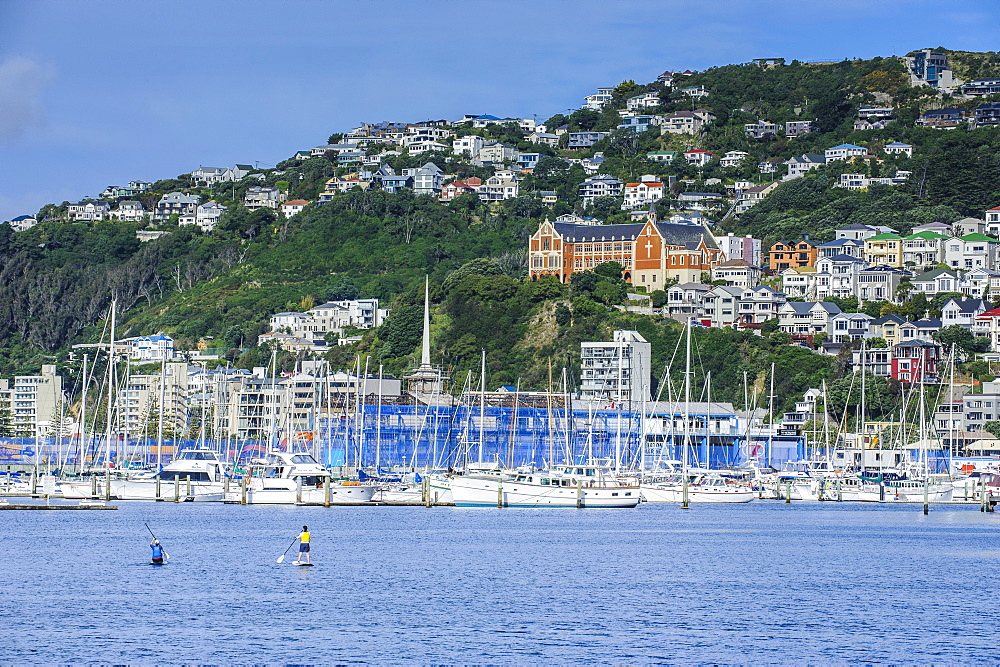 Lambton harbour, Wellington, North Island, New Zealand, Pacific