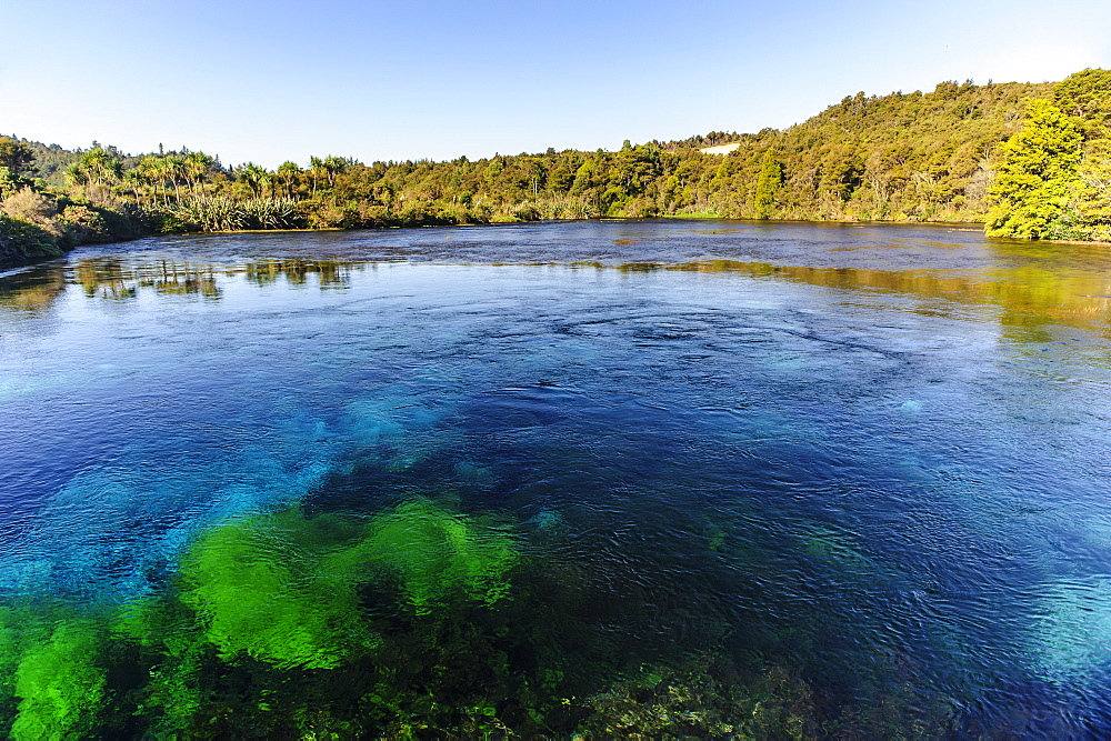 Te Waikoropupu springs declared as clearest fresh water springs in the world, Takaka, Golden Bay, Tasman Region, South Island, New Zealand, Pacific