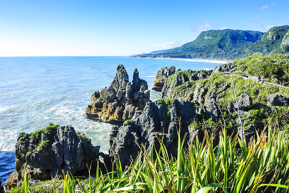 Beautiful rock formation, Pancake Rocks, Paparoa National Park, West Coast, South Island, New Zealand, Pacific