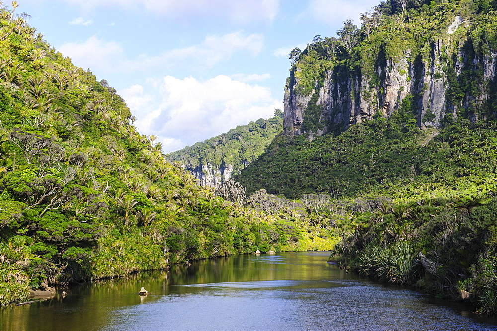 Lush vegetation and cliffs, Porari River, Paparoa National Park, West Coast, South Island, New Zealand, Pacific