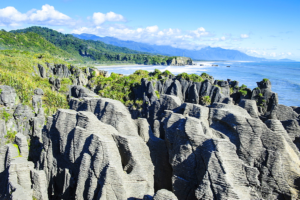 Pancake Rocks, Paparoa National Park, West Coast, South Island, New Zealand, Pacific