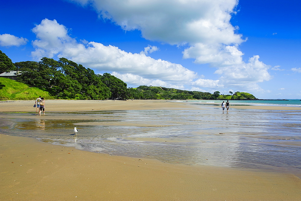 People walking on a long sandy beach near Paihia, Bay of Islands, North Island, New Zealand, Pacific