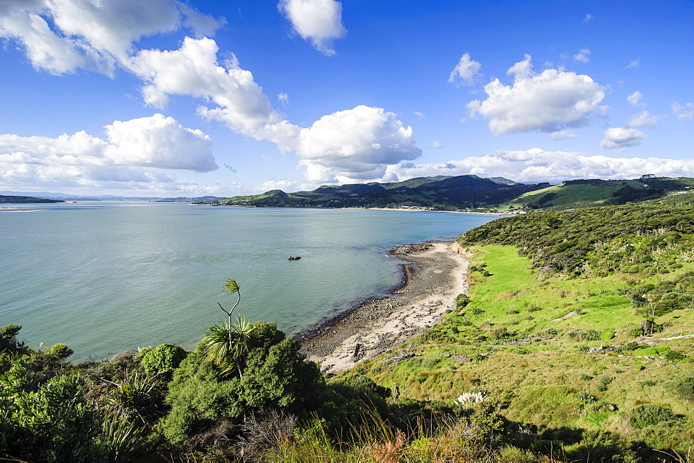 View of the Arai-Te-Uru Recreation Reserve, south end of Hokianga harbour, Northland, North Island, New Zealand, Pacific