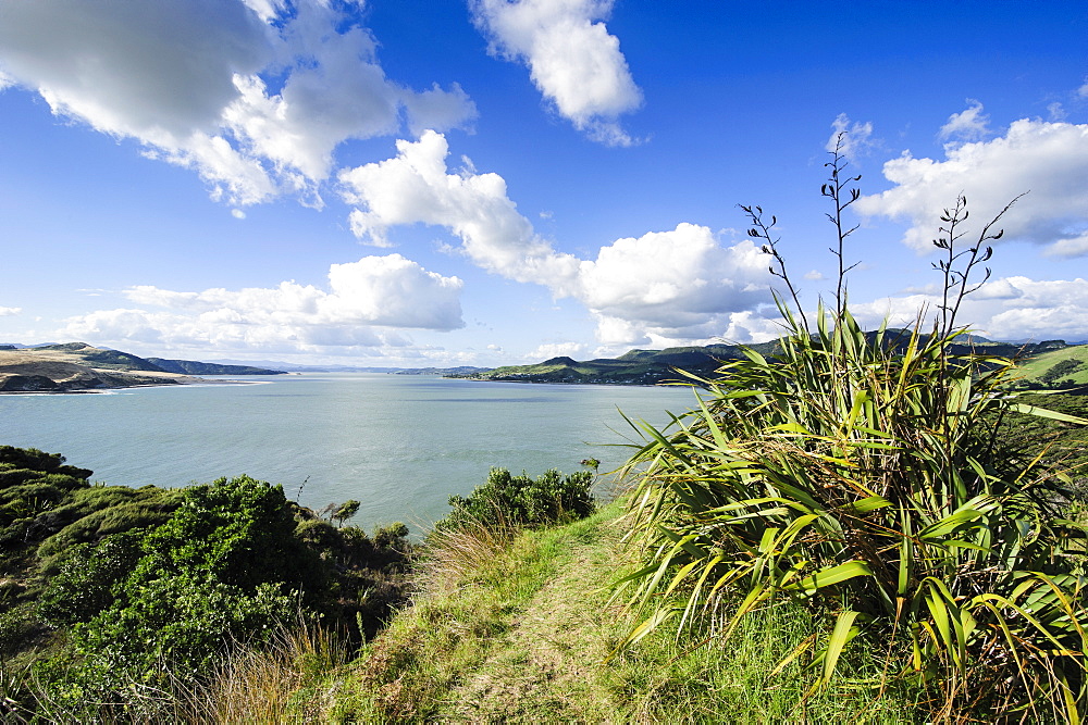 View of the Arai-Te-Uru Recreation Reserve, south end of Hokianga harbour, Northland, North Island, New Zealand, Pacific