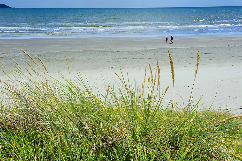 Foxton beach, Kapiti Coast, North Island, New Zealand, Pacific