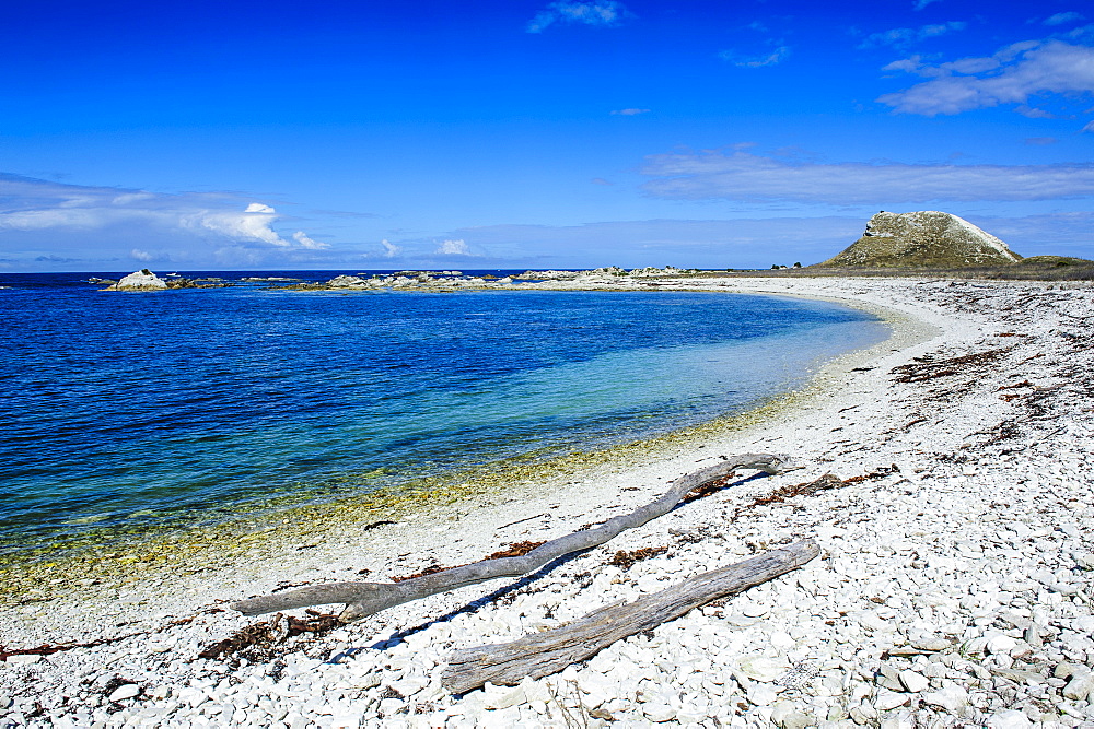 Limestone rocky beach on the clear waters of Kaikoura Peninsula, South Island, New Zealand, Pacific