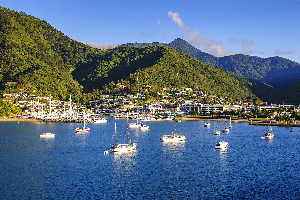 Harbour of Picton landing point of the ferry, Picton, Marlborough Region, South Island, New Zealand, Pacific