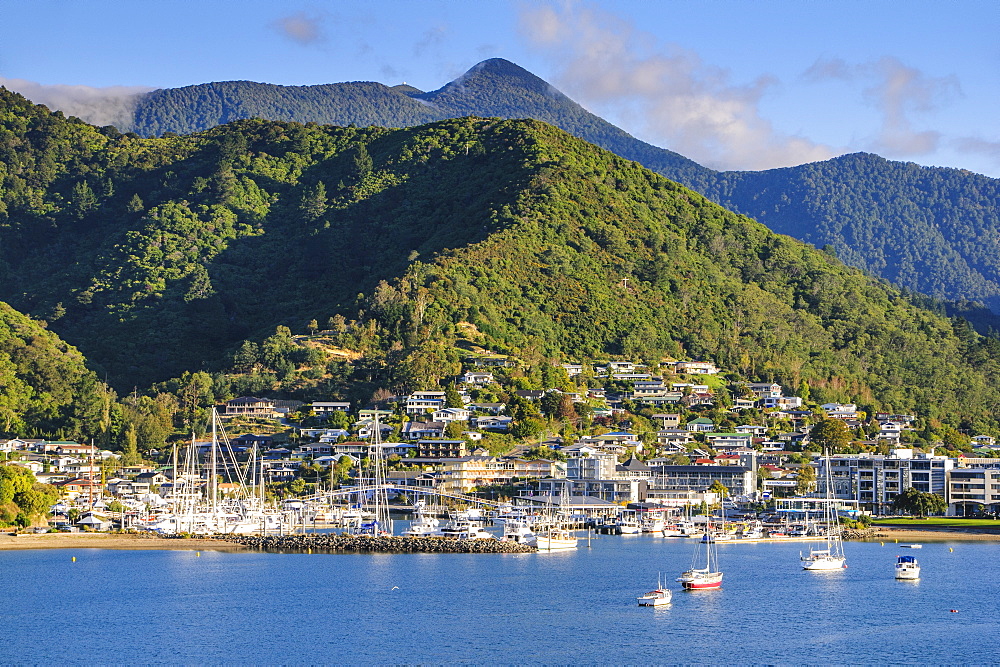 Harbour of Picton landing point of the ferry, Picton, Marlborough Region, South Island, New Zealand, Pacific