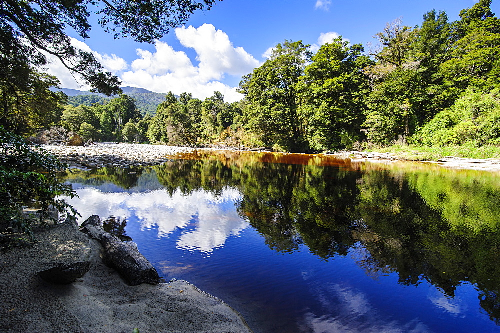 Trees reflecting in the water, Mirror Tarn, Oparara Basin, Karamea, West Coast, South Island, New Zealand, Pacific