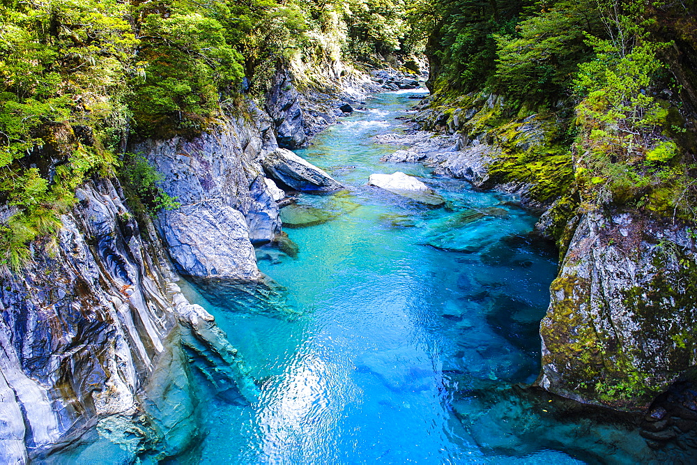 The stunning Blue Pools, Haast Pass, South Island, New Zealand, Pacific