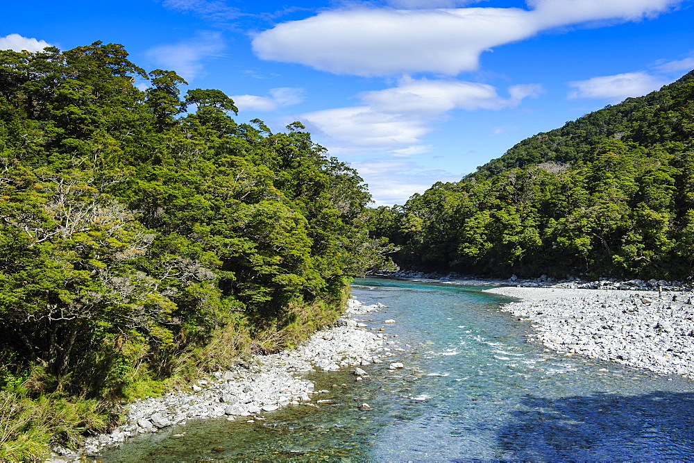 Beautiful Haast River, Haast Pass, South Island, New Zealand, Pacific