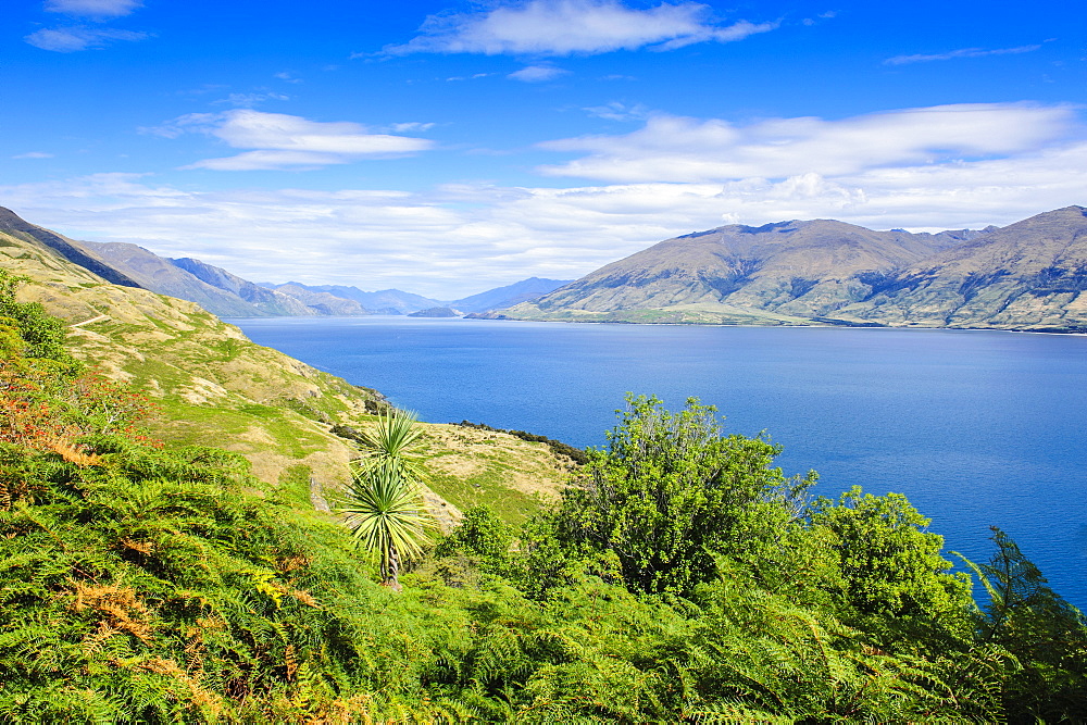 Lake Hawea, Haast Pass, South Island, New Zealand, Pacific