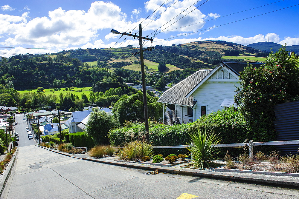 Baldwin Street, the world's steepest residential street, Dunedin, Otago, South Island, New Zealand, Pacific