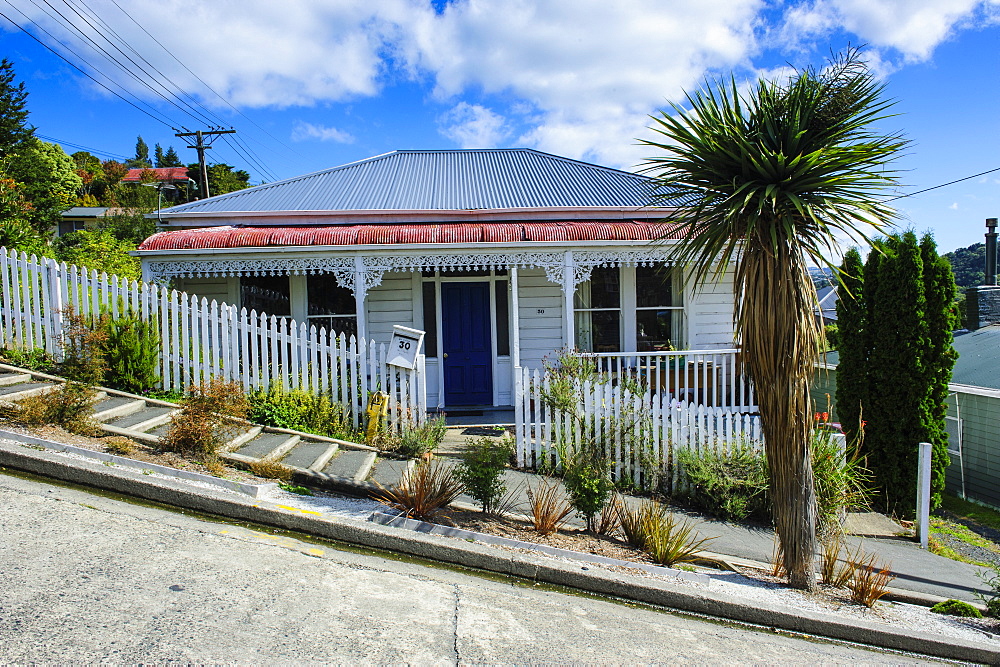 Baldwin Street, the world's steepest residential street, Dunedin, Otago, South Island, New Zealand, Pacific