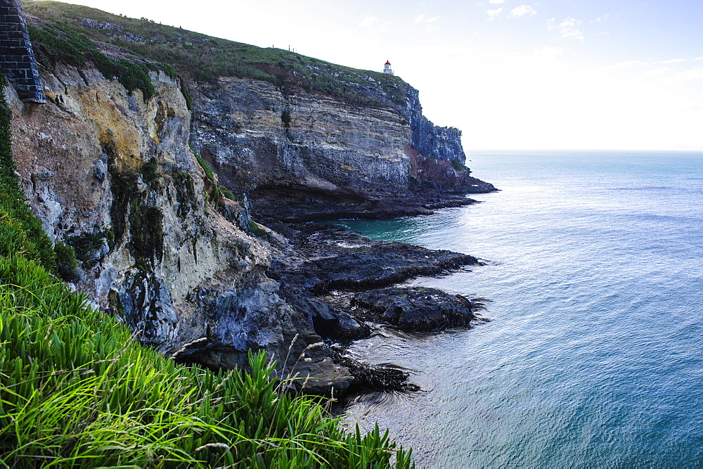 Steep cliffs at Taiaroa Head, Otago Peninsula, South Island, New Zealand, Pacific