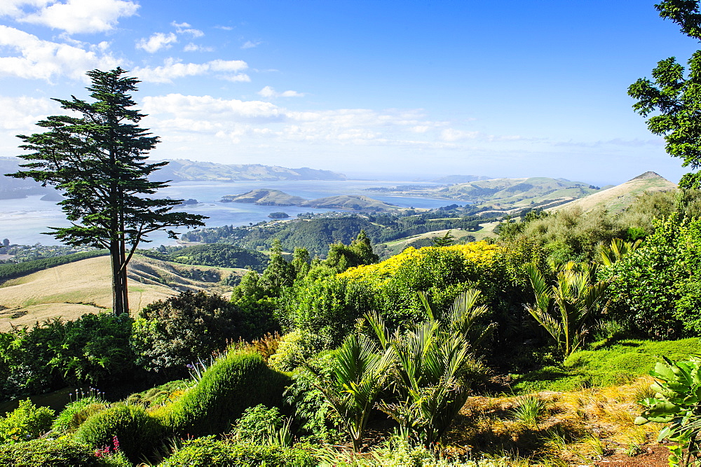 View from Larnach Castle over the Otago Peninsula, South Island, New Zealand, Pacific