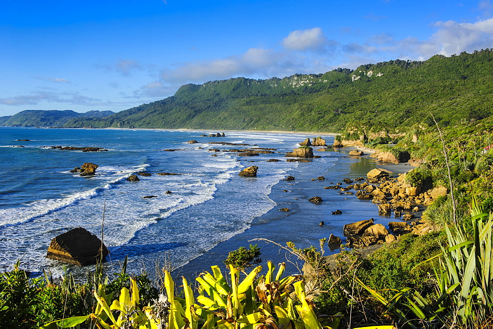 The untouched west coast of South Island between Greymouth and Westport, West Coast, South Island, New Zealand, Pacific